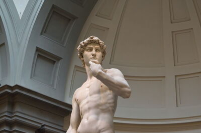 Michelangelo's David