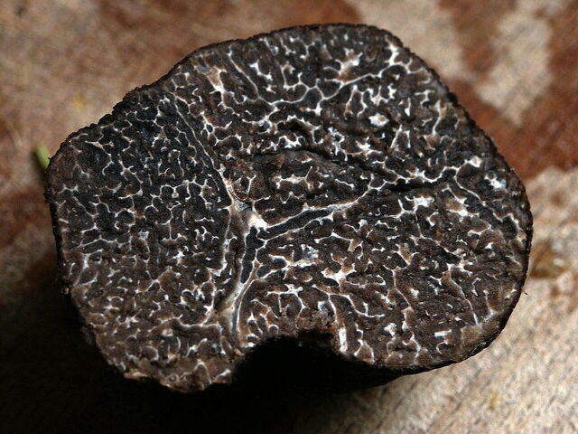 Truffels
