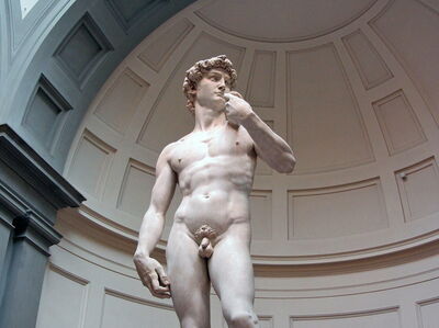 Michelangelo's David in de Accademia