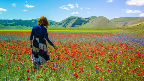 Fiorita in Castelluccio