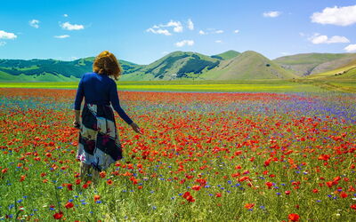 Fiorita in Castelluccio