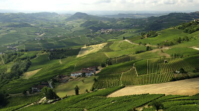 Landschap in de Langhe