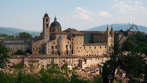 Urbino