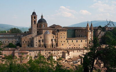 Urbino