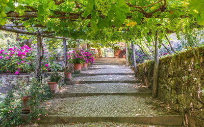 Tuinen bij Palazzo Rosadi
