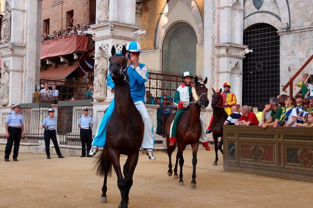 Paarden bij de Palio di Siena