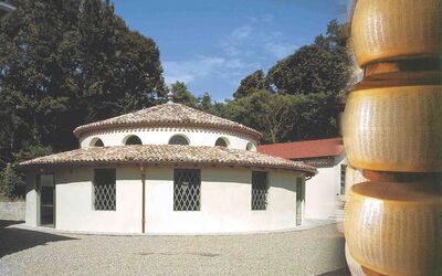 Parmesan Museum