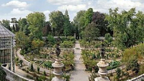 Padua's botanische tuinen
