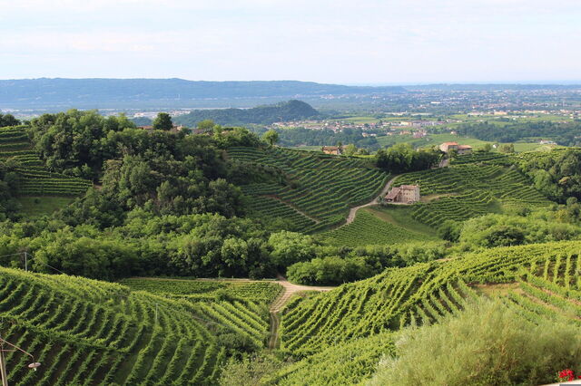 Landschap nabij Treviso