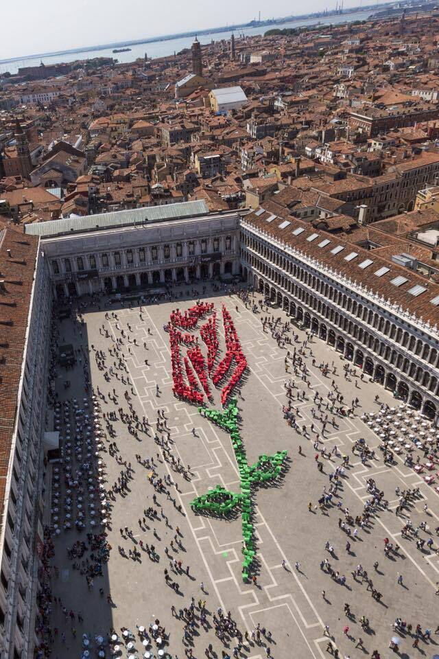 Roos op plein van San Marco