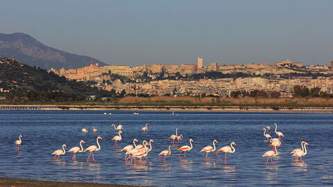 de kust van cagliari