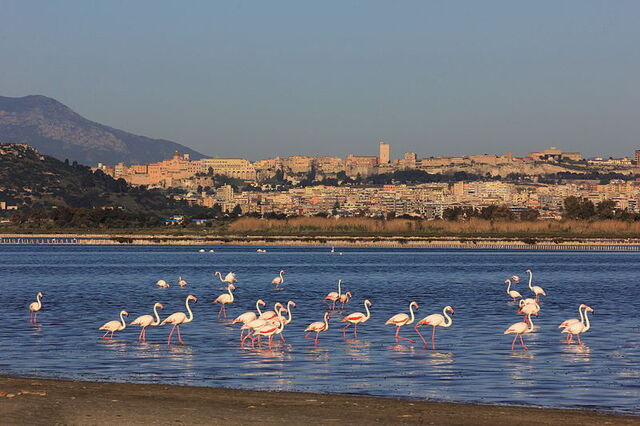 de kust van cagliari
