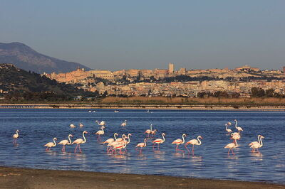 de kust van cagliari