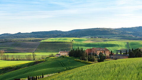 Uitzicht op velden en heuvels in Toscane
