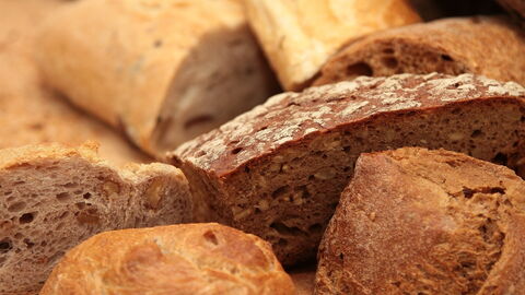 Brood