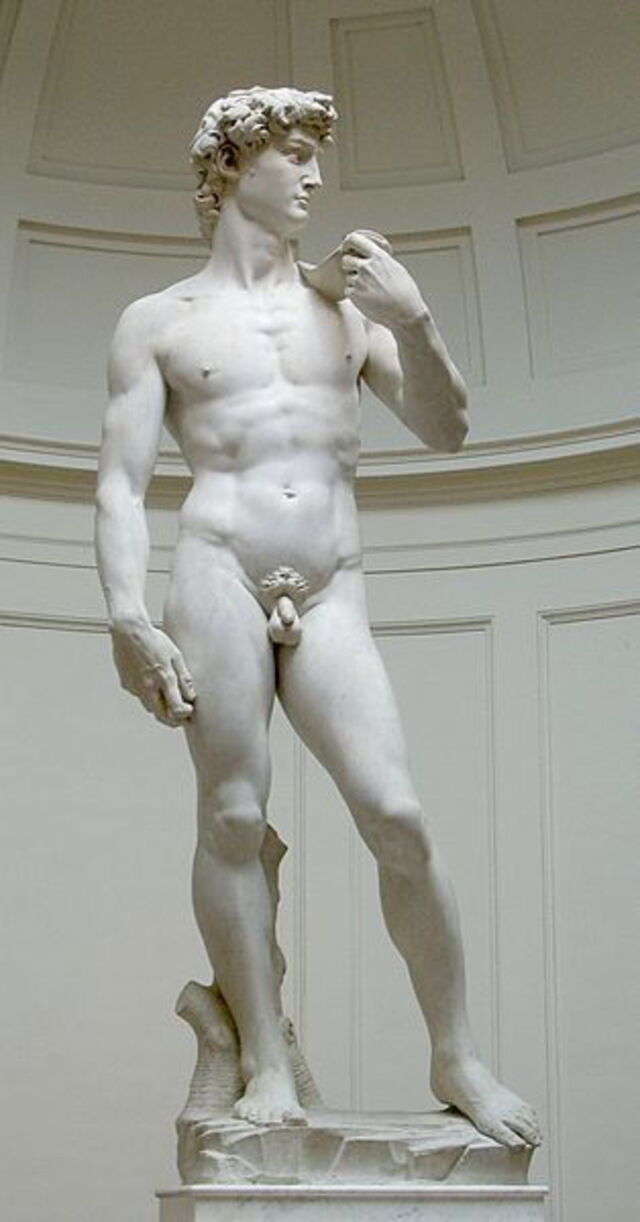 David door Michelangelo