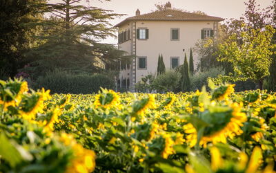 Villa Ivana
