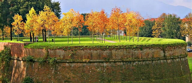 Tuin muren van Lucca