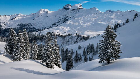 Alpenlandschappen