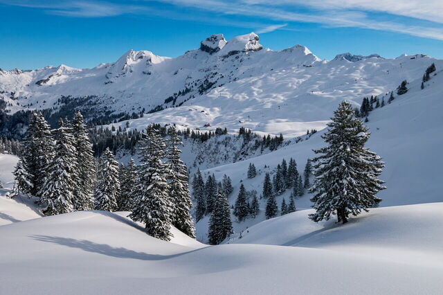 Alpenlandschappen