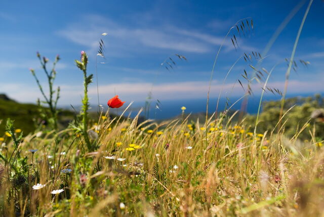 Uitzichten op Sardinië