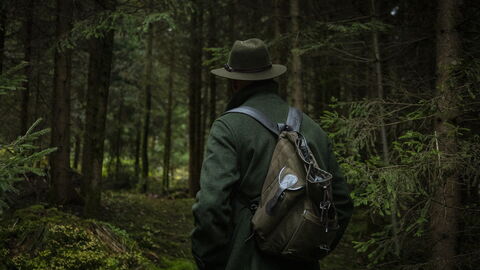 Wandelaar in het bos