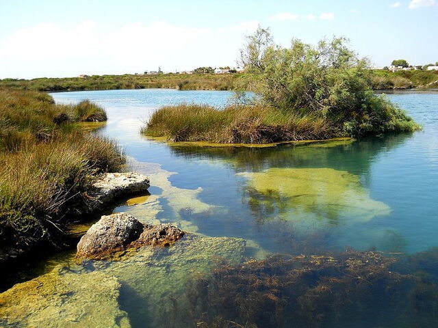 Porto Selvaggio moerasland