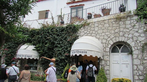 Laboratorium Carthusia