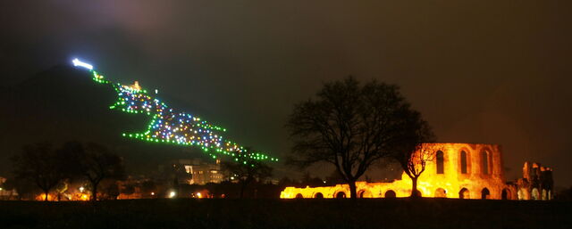 Monte Ingino Kerstboom