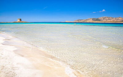 Strand van Spiaggia La Pelosa