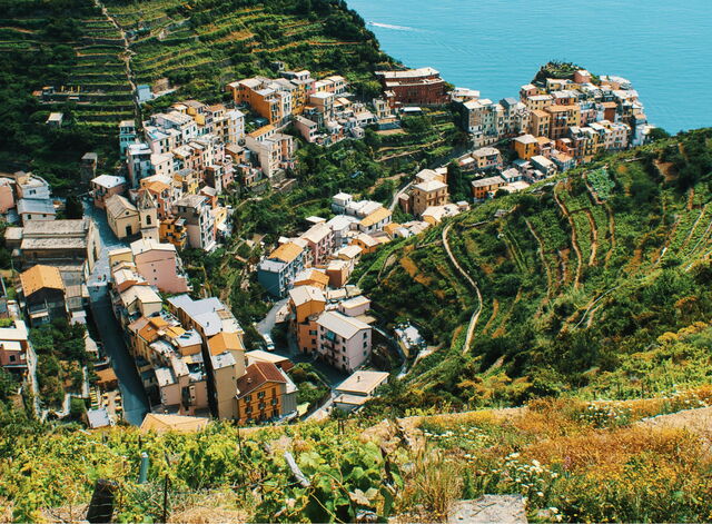 Wijngaarden langs de Cinque Terre