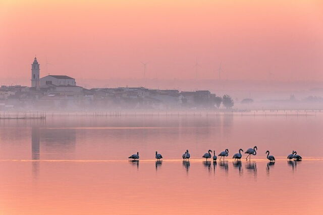 Lesina-meer