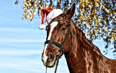Kerst paard