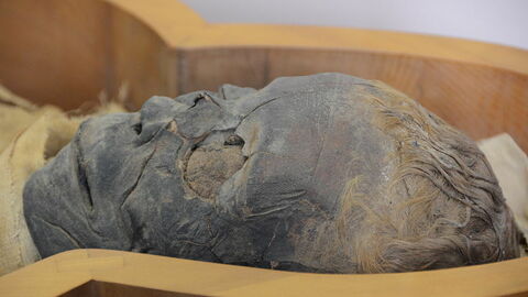 Mannelijke mummie, Vaticaan Museum