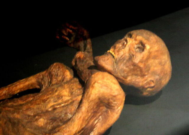 Otzi de ijsman