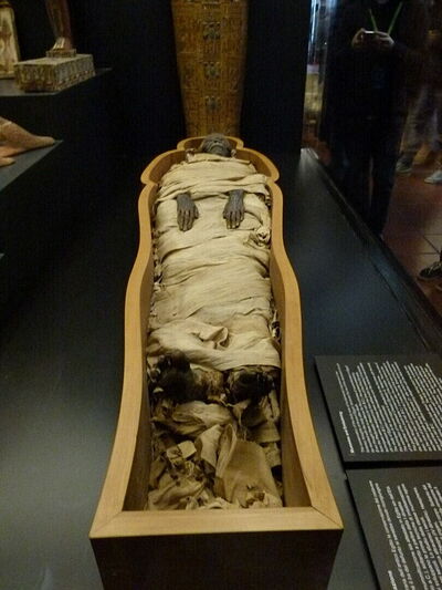 Een mummie in het Egyptisch Museum