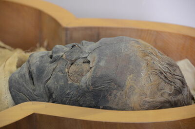 Mannelijke mummie, Vaticaan Museum