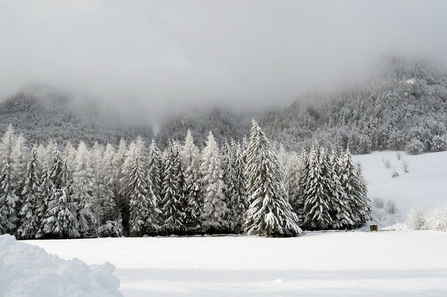 Sneeuw in de Alpen