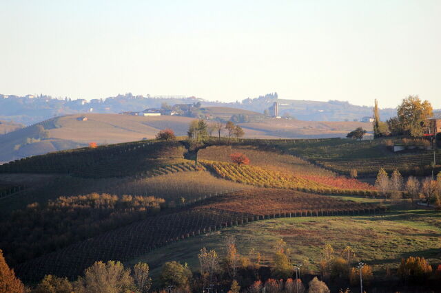 Herfst in de Langhe