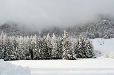 Sneeuw in de Alpen