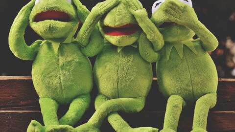 Kermits