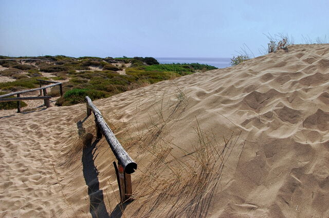 Duinen van Campomarino