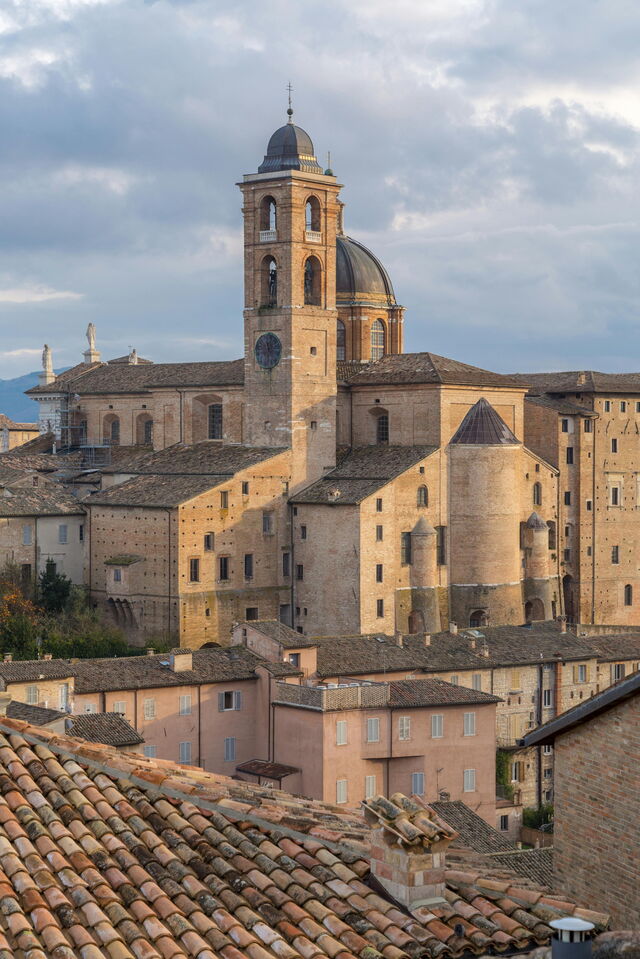Urbino