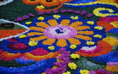 Bloemencreaties in Spello