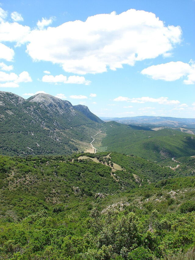 Lula, Sardinië