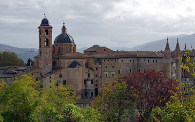 Urbino