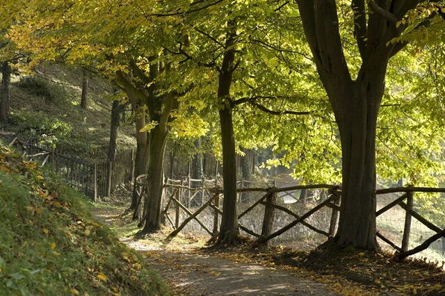 Parco Giardino Sigurtà, herfstwandelingen