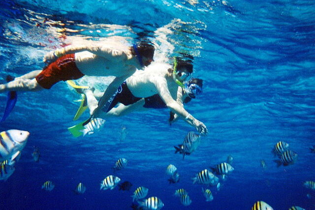 Ga snorkelen en ontdek het onderwater leven