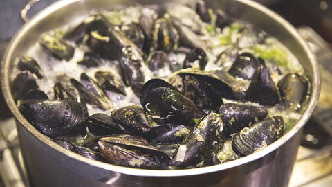 Mossels in een Pot