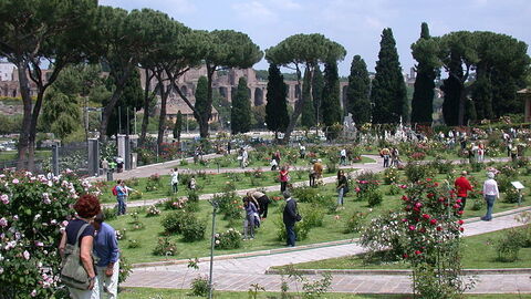 Rome Rozentuin